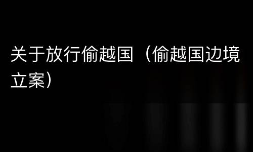 关于放行偷越国（偷越国边境立案）