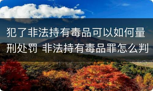 犯了非法持有毒品可以如何量刑处罚 非法持有毒品罪怎么判刑
