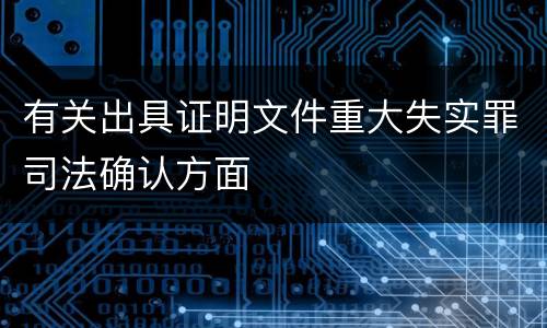有关出具证明文件重大失实罪司法确认方面