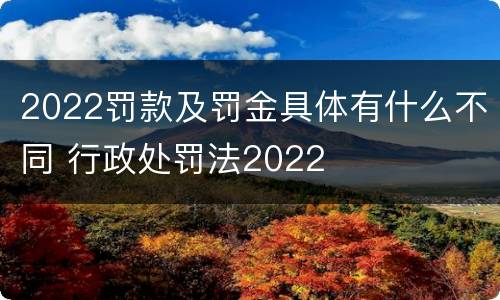 2022罚款及罚金具体有什么不同 行政处罚法2022