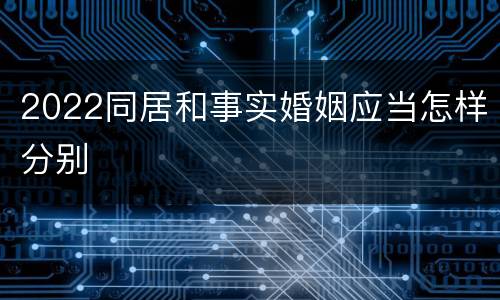 2022同居和事实婚姻应当怎样分别