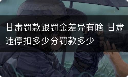 甘肃罚款跟罚金差异有啥 甘肃违停扣多少分罚款多少