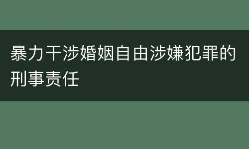 暴力干涉婚姻自由涉嫌犯罪的刑事责任