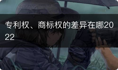 专利权、商标权的差异在哪2022