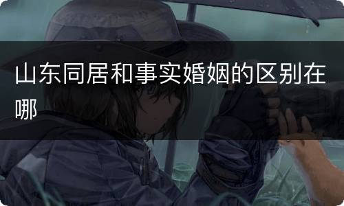 山东同居和事实婚姻的区别在哪