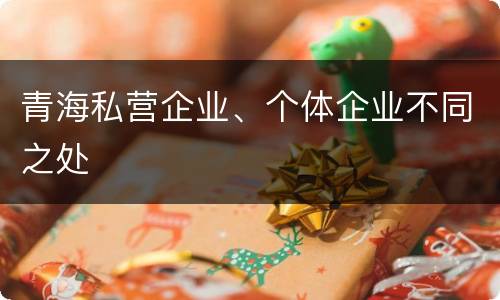 青海私营企业、个体企业不同之处