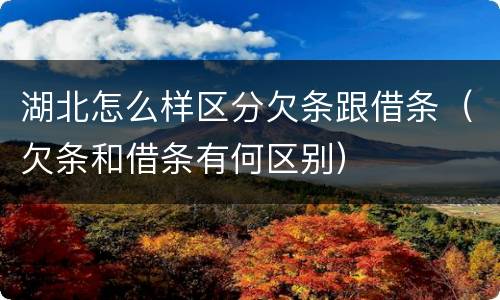 湖北怎么样区分欠条跟借条（欠条和借条有何区别）