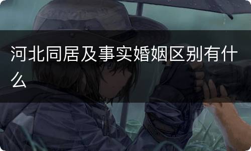 河北同居及事实婚姻区别有什么