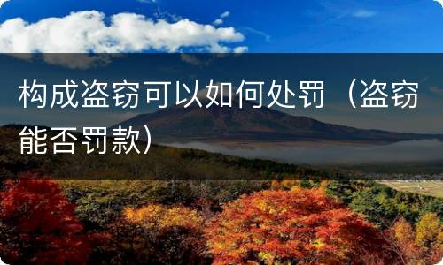 构成盗窃可以如何处罚（盗窃能否罚款）