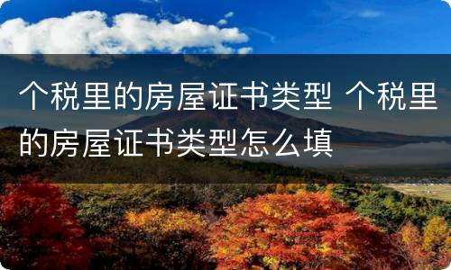 个税里的房屋证书类型 个税里的房屋证书类型怎么填