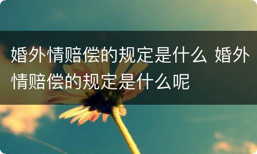 婚外情赔偿的规定是什么 婚外情赔偿的规定是什么呢