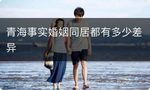 青海事实婚姻同居都有多少差异