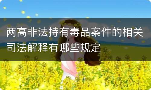 两高非法持有毒品案件的相关司法解释有哪些规定