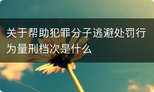 关于帮助犯罪分子逃避处罚行为量刑档次是什么