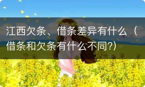 江西欠条、借条差异有什么（借条和欠条有什么不同?）