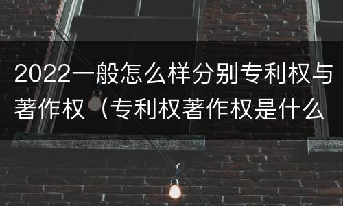 2022一般怎么样分别专利权与著作权（专利权著作权是什么意思）