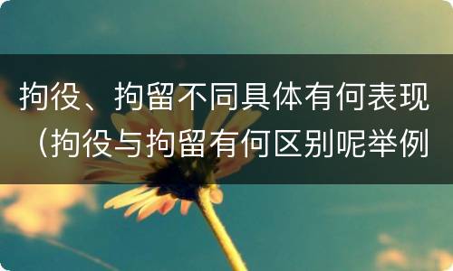 拘役、拘留不同具体有何表现（拘役与拘留有何区别呢举例说明）