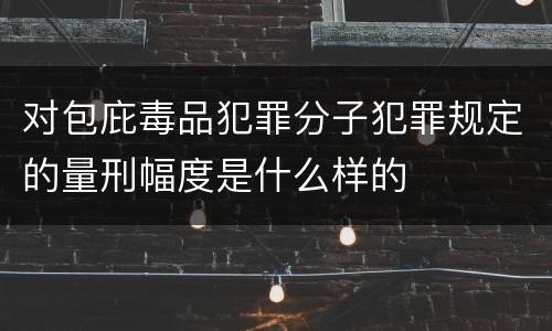 对包庇毒品犯罪分子犯罪规定的量刑幅度是什么样的