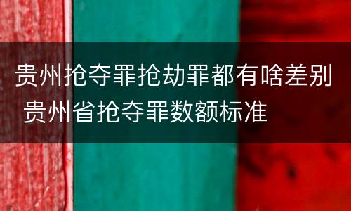 贵州抢夺罪抢劫罪都有啥差别 贵州省抢夺罪数额标准