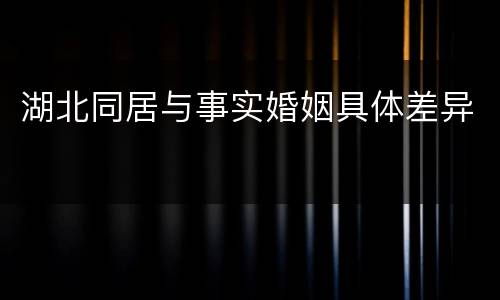 湖北同居与事实婚姻具体差异