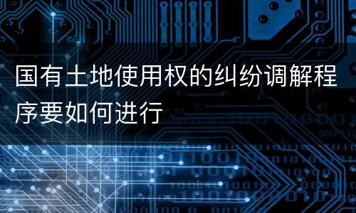 国有土地使用权的纠纷调解程序要如何进行