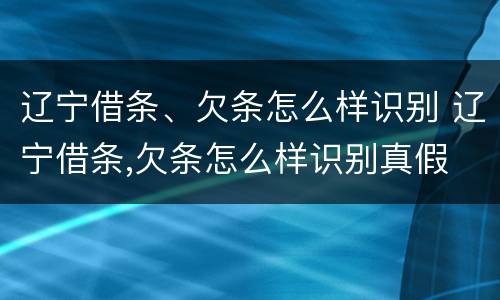 辽宁借条、欠条怎么样识别 辽宁借条,欠条怎么样识别真假