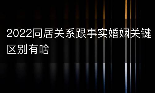 2022同居关系跟事实婚姻关键区别有啥