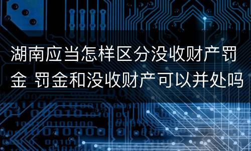 湖南应当怎样区分没收财产罚金 罚金和没收财产可以并处吗