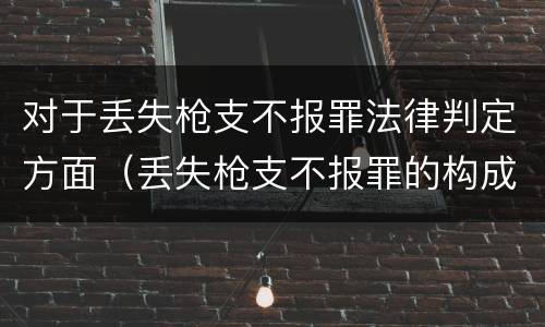 对于丢失枪支不报罪法律判定方面（丢失枪支不报罪的构成要件）