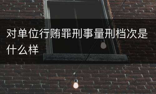 对单位行贿罪刑事量刑档次是什么样