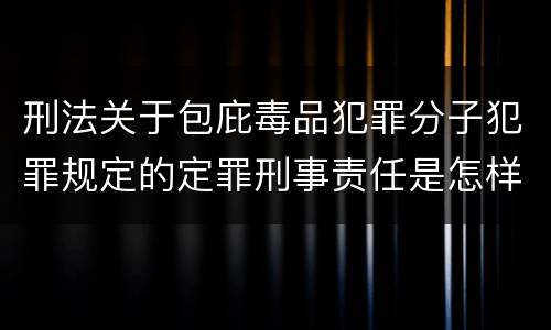 刑法关于包庇毒品犯罪分子犯罪规定的定罪刑事责任是怎样的