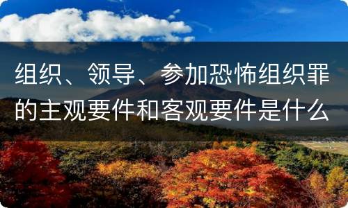 组织、领导、参加恐怖组织罪的主观要件和客观要件是什么