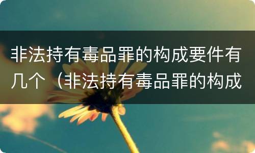 非法持有毒品罪的构成要件有几个（非法持有毒品罪的构成要件有几个标准）