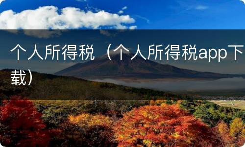 个人所得税（个人所得税app下载）