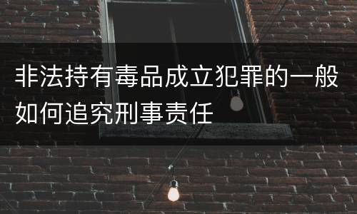 非法持有毒品成立犯罪的一般如何追究刑事责任