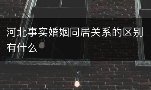 河北事实婚姻同居关系的区别有什么