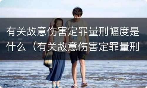 有关故意伤害定罪量刑幅度是什么（有关故意伤害定罪量刑幅度是什么标准）