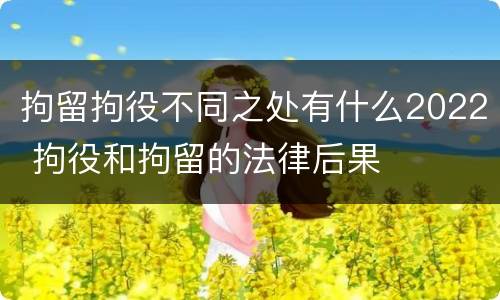 拘留拘役不同之处有什么2022 拘役和拘留的法律后果