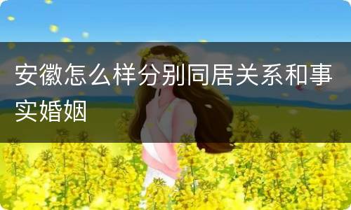 安徽怎么样分别同居关系和事实婚姻