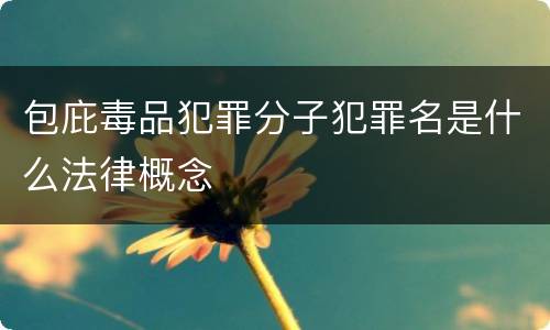 包庇毒品犯罪分子犯罪名是什么法律概念