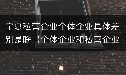 宁夏私营企业个体企业具体差别是啥（个体企业和私营企业的区别）