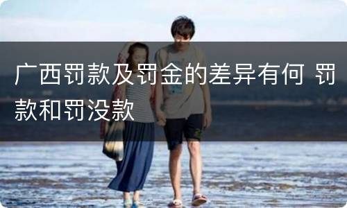 广西罚款及罚金的差异有何 罚款和罚没款