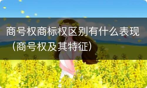 商号权商标权区别有什么表现（商号权及其特征）