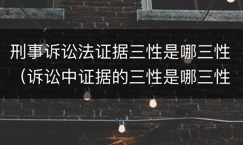 刑事诉讼法证据三性是哪三性（诉讼中证据的三性是哪三性）