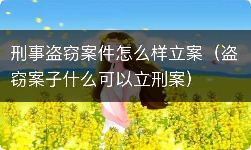 刑事盗窃案件怎么样立案（盗窃案子什么可以立刑案）