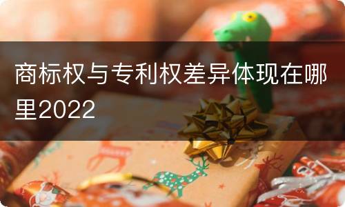商标权与专利权差异体现在哪里2022