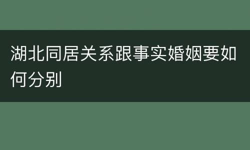 湖北同居关系跟事实婚姻要如何分别