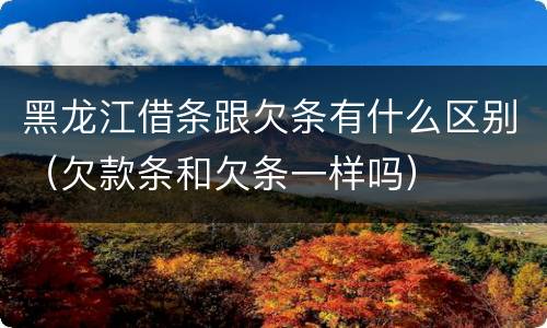 黑龙江借条跟欠条有什么区别（欠款条和欠条一样吗）