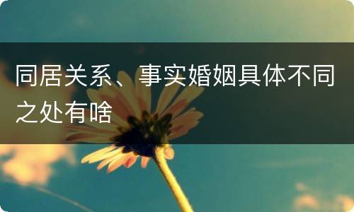 同居关系、事实婚姻具体不同之处有啥