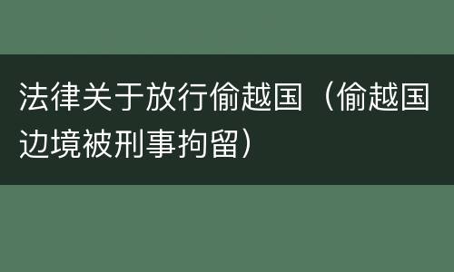 法律关于放行偷越国（偷越国边境被刑事拘留）